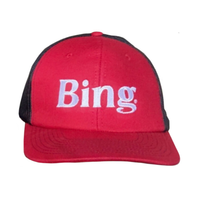 Bing Hat - Image 2
