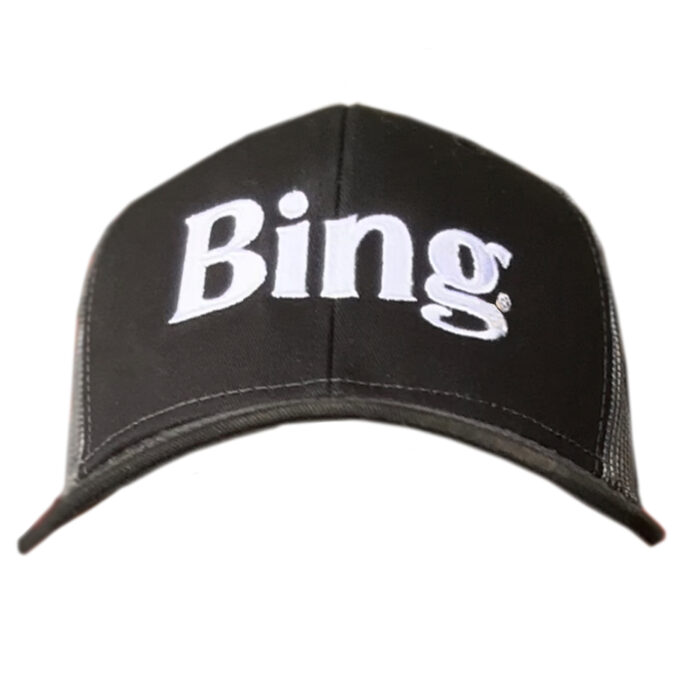 Bing Hat - Image 5
